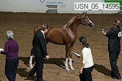 usn_05_14595 proof