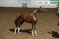 usn_05_14596 proof