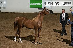 usn_05_14599 proof