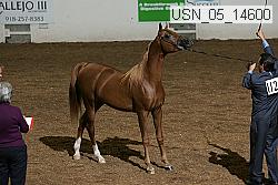usn_05_14600 proof