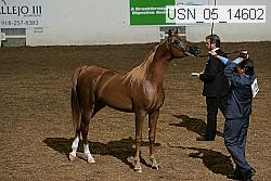 usn_05_14602 proof