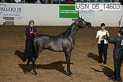 usn_05_14603 proof