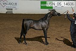 usn_05_14606 proof