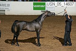 usn_05_14607 proof