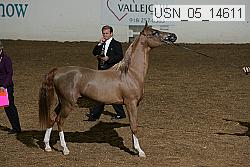 usn_05_14611 proof