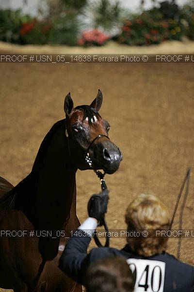 Proof usn_05_14638