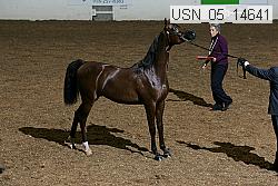 usn_05_14641 proof