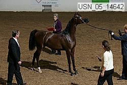 usn_05_14642 proof