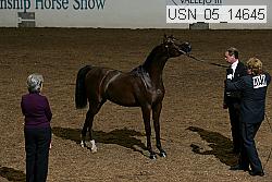 usn_05_14645 proof