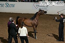 usn_05_14655 proof