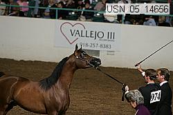 usn_05_14656 proof