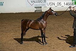 usn_05_14666 proof
