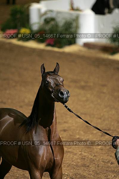 Proof usn_05_14667