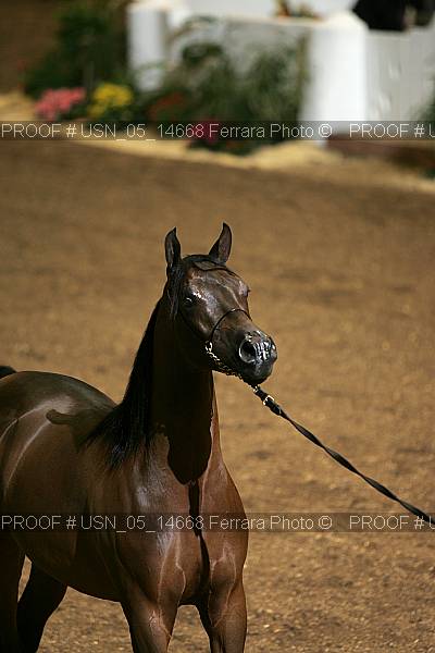Proof usn_05_14668
