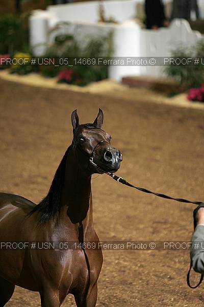 Proof usn_05_14669