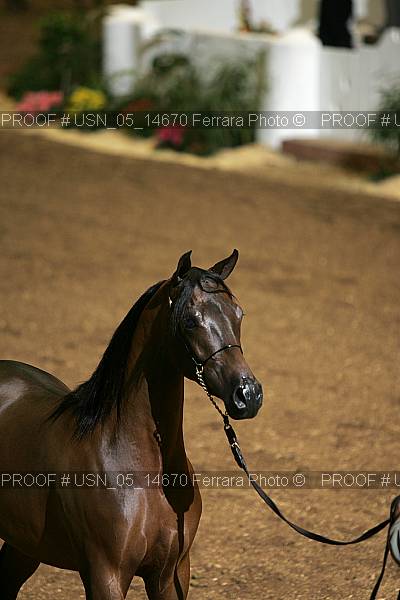 Proof usn_05_14670
