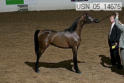 usn_05_14675 proof