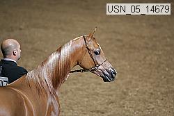 usn_05_14679 proof