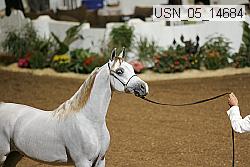usn_05_14684 proof