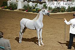 usn_05_14685 proof