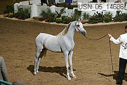 usn_05_14686 proof