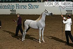 usn_05_14695 proof