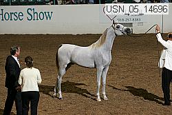 Proof usn_05_14696