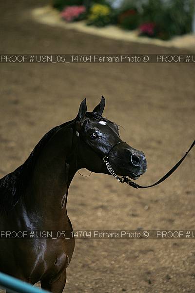 Proof usn_05_14704