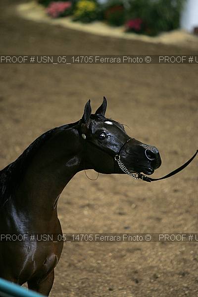 Proof usn_05_14705