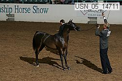 usn_05_14711 proof