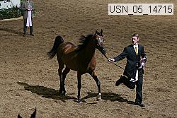 usn_05_14715 proof
