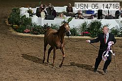 usn_05_14716 proof
