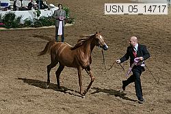 usn_05_14717 proof