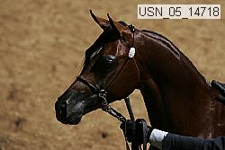 usn_05_14718 proof