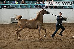 usn_05_30304 proof