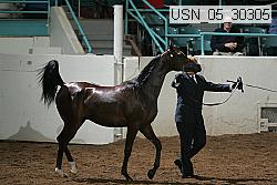 usn_05_30305 proof