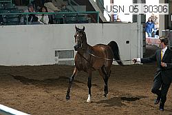 usn_05_30306 proof