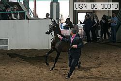 usn_05_30313 proof