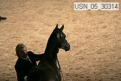 usn_05_30314 proof