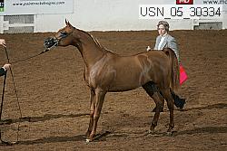 usn_05_30334 proof