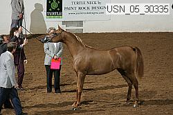 usn_05_30335 proof