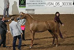 usn_05_30336 proof