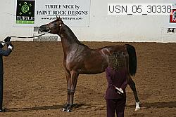 usn_05_30338 proof