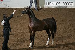 Proof usn_05_30367