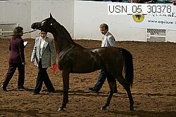 usn_05_30378 proof
