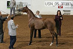 usn_05_30393 proof