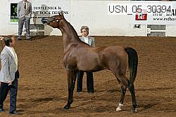 usn_05_30394 proof