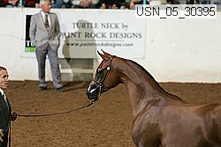 usn_05_30395 proof