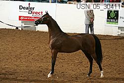 usn_05_30411 proof