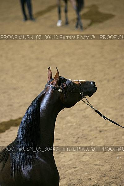 Proof usn_05_30440
